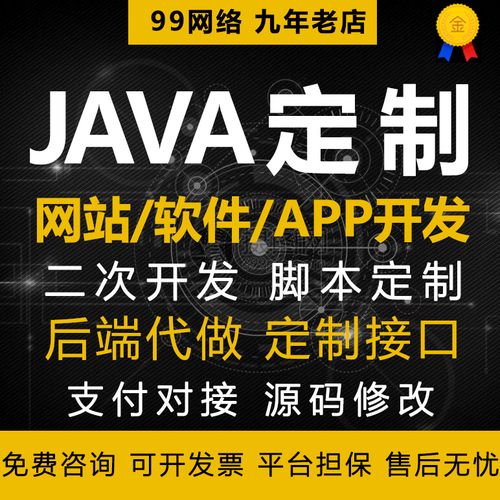 java开发网站软件代做/系统接口开发定做定制二次开发bug修复